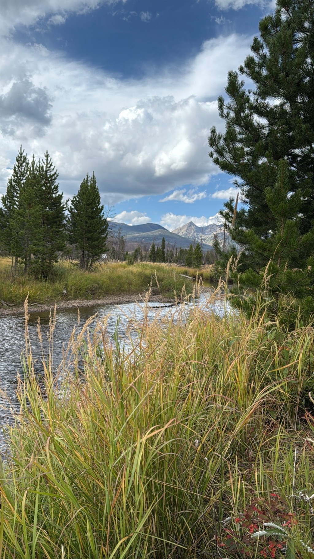 Learning to Set Boundaries (and Actually Keep&nbsp;Them)